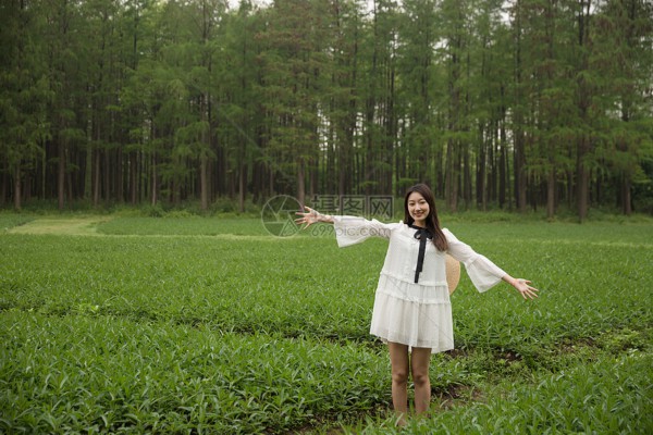 武汉商务茶话会，洽谈风生水起